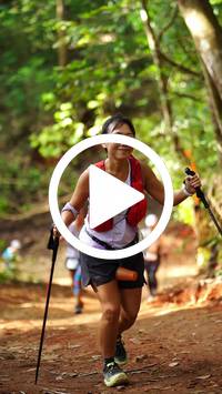 BIB:  <button type="button" onclick="openModal(27821906)" class="btn btn-primary btn-sm float-right" data-toggle="modal" data-target=".modal-high-quality">
                <i class="fa fa-download"></i> Download
                </button>